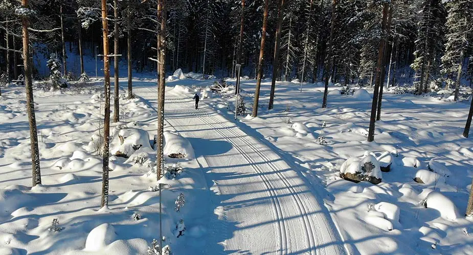 Hödhöjdsbild på längskidspårbana i snötäckt tallskog, en person klädd i svarta vinterkläder åker i ett av spåren.