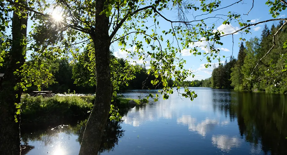 Udde med träd, vid sjön Smeddammen omringad av skog.