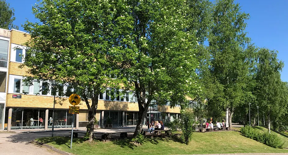 Spångbergsgymnasiet bakom gröna träd