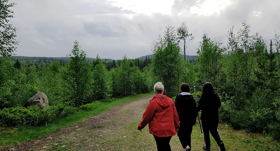 Tre kvinnor som är ute och går i skogen. Grådisigt väder 