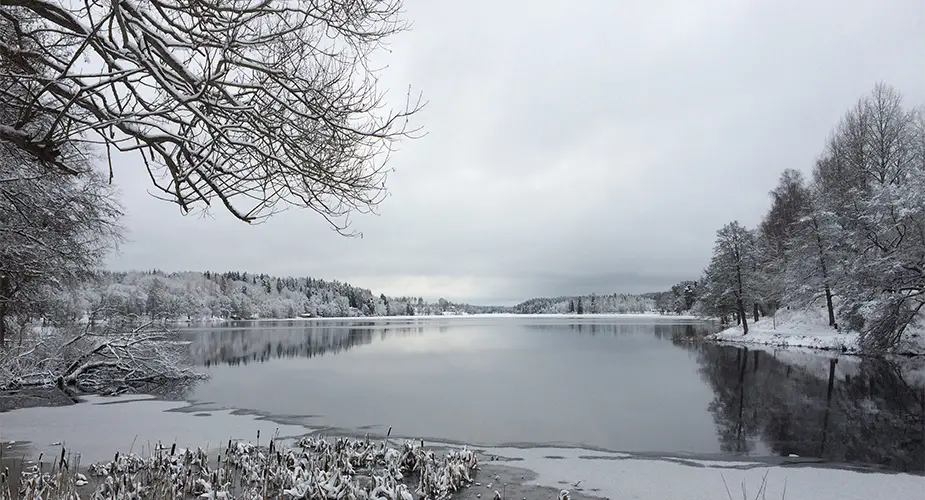 Sjön Daglösen omringad av snötäckta träd.