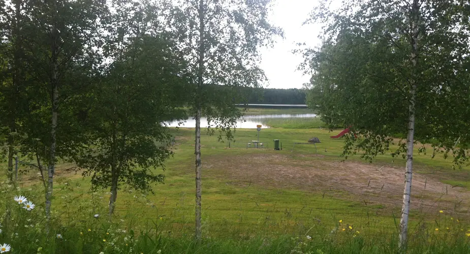 Öppen gräsyta med björkar i närbild och en sjö bakgrunden på Asphyttans badplats