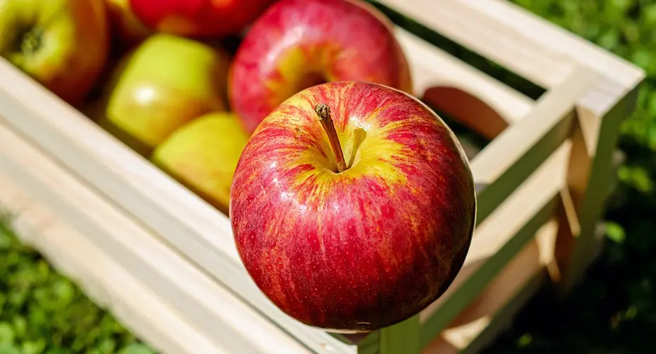 En trälåda full med röda och gula äpplen med ett äpple mer inzoomat än de andra