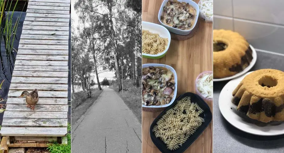 Collage av fyra bilder: gräsand på träbrygga, asfalterad gångpromenad i park i gråskala, skålar med olika pastarätter, 2 tigerkakor på köksbänk.