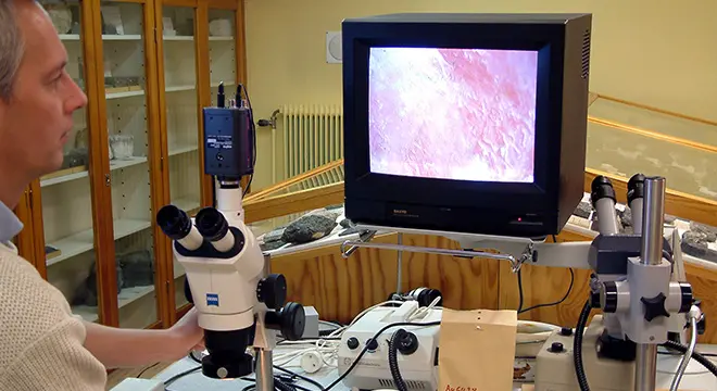 Person använder digitalt mikroskop för att undersöka material